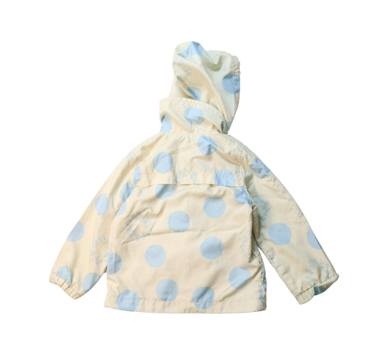A Blue Lightweight Jackets from Hakka in size 2T for neutral. (Back View)
