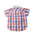 A Multicolour Short Sleeve Shirts from PONEY in size 18-24M for boy. (Back View)