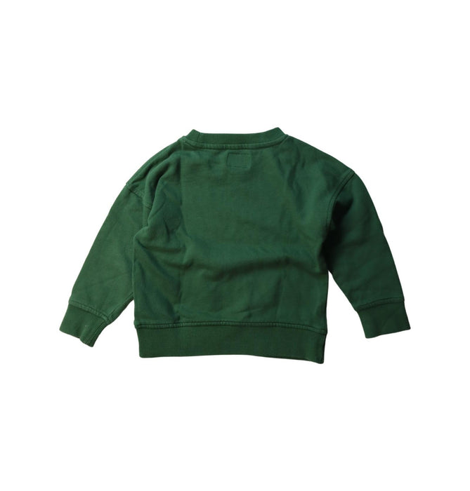 A Green Crewneck Sweatshirts from Roots in size 3T for boy. (Back View)
