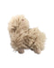 A Beige Soft Toys from Jellycat in size O/S for neutral. (Front View)