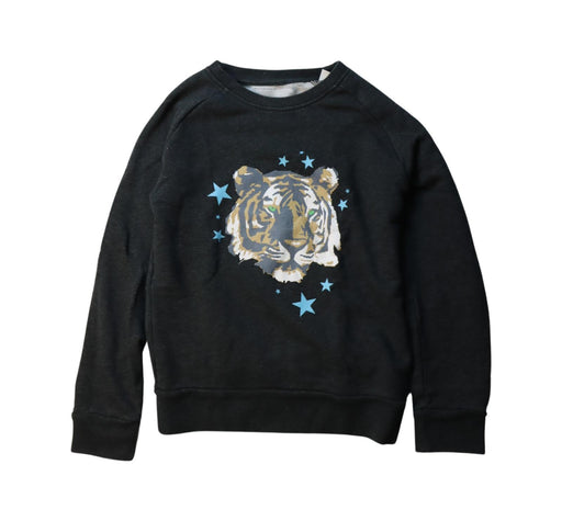 A Multicolour Crewneck Sweatshirts from Dandy Star in size 7Y for boy. (Front View)