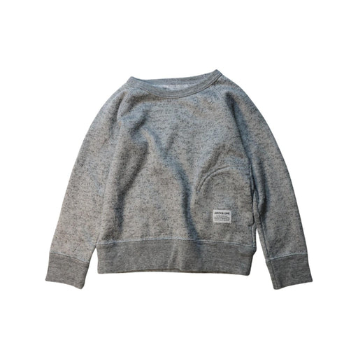 A Grey Crewneck Sweatshirts from Arch & Line in size 4T for neutral. (Front View)