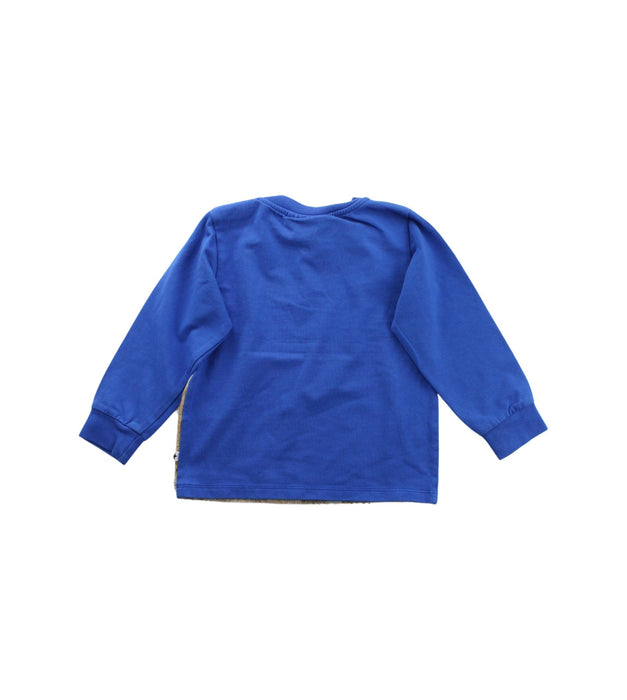 A Blue Crewneck Sweatshirts from Molo in size 2T for boy. (Back View)