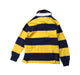 A Multicolour Long Sleeve Polos from Polo Ralph Lauren in size 4T for boy. (Back View)