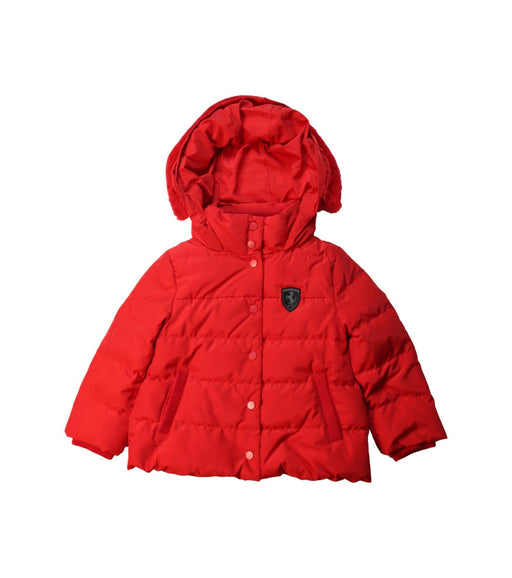 A Red Puffer/Quilted Jackets from Ferrari in size 2T for neutral. (Front View)