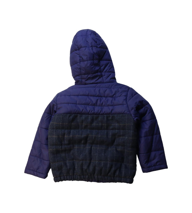 A Multicolour Puffer/Quilted Jackets from Chickeeduck in size 4T for boy. (Back View)