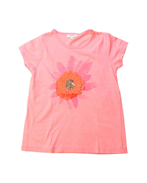 A Multicolour Short Sleeve T Shirts from Seed in size 5T for girl. (Front View)
