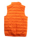 A Orange Outerwear Vests from Polo Ralph Lauren in size 4T for girl. (Back View)