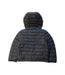 A Grey Puffer/Quilted Jackets from Polo Ralph Lauren in size 4T for boy. (Back View)