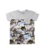 A Grey Short Sleeve T Shirts from Molo in size 10Y for boy. (Front View)