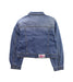 A Blue Lightweight Jackets from MSGM in size 12Y for girl. (Back View)
