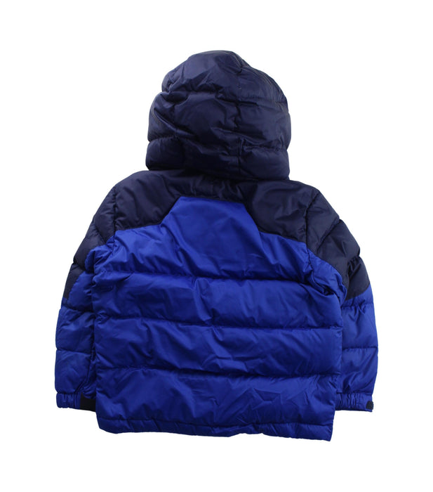 A Blue Puffer/Quilted Jackets from Polo Ralph Lauren in size 4T for boy. (Back View)