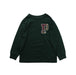 A Green Crewneck Sweatshirts from Polo Ralph Lauren in size 3T for boy. (Front View)