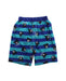 A Blue Shorts from Miki House in size 10Y for boy. (Front View)