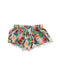 A Multicolour Swim Shorts from Snapper Rock in size 4T for girl. (Front View)