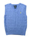 A Blue Sweater Vests from Polo Ralph Lauren in size 3T for neutral. (Front View)