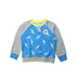 A Multicolour Crewneck Sweatshirts from Converse in size 5T for boy. (Front View)