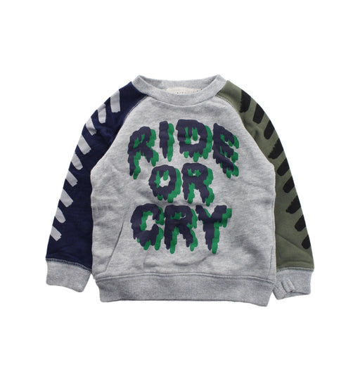 A Grey Crewneck Sweatshirts from Stella McCartney in size 2T for boy. (Front View)