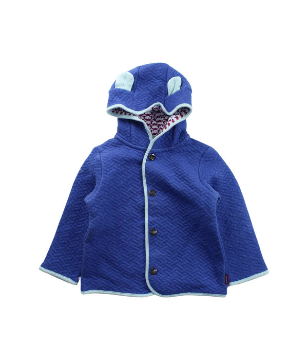 A Blue Lightweight Jackets from Baker by Ted Baker in size 18-24M for boy. (Front View)