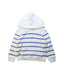 A Multicolour Hooded Sweatshirts from Polo Ralph Lauren in size 4T for boy. (Front View)