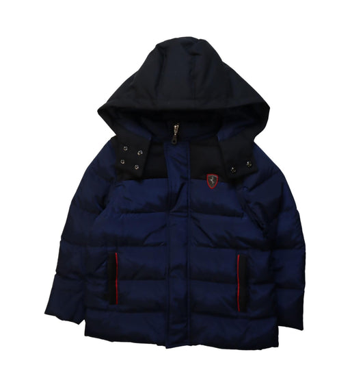 A Blue Puffer/Quilted Jackets from Ferrari in size 5T for boy. (Front View)