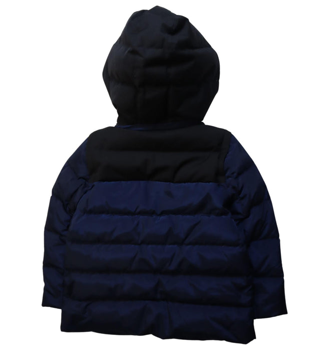 A Blue Puffer/Quilted Jackets from Ferrari in size 5T for boy. (Back View)