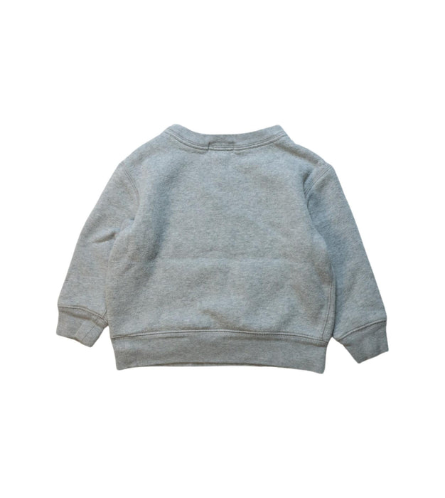 A Grey Crewneck Sweatshirts from Polo Ralph Lauren in size 2T for neutral. (Back View)