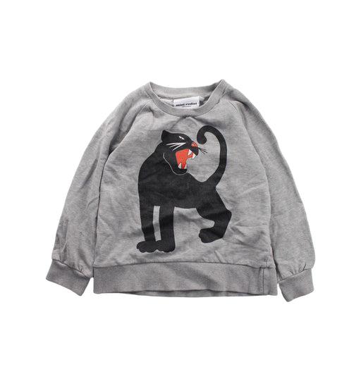 A Grey Crewneck Sweatshirts from Mini Rodini in size 2T for boy. (Front View)