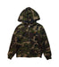 A Multicolour Lightweight Jackets from Polo Ralph Lauren in size 6T for boy. (Front View)