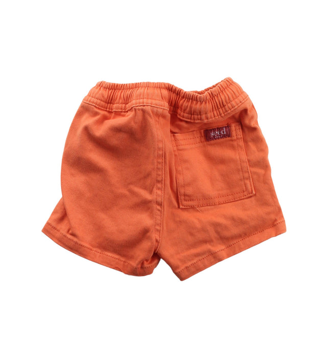 A Orange Shorts from Seed in size 0-3M for boy. (Back View)