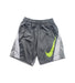 A Grey Shorts from Nike in size 4T for boy. (Front View)