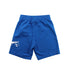 A Blue Shorts from Nike in size 4T for boy. (Back View)