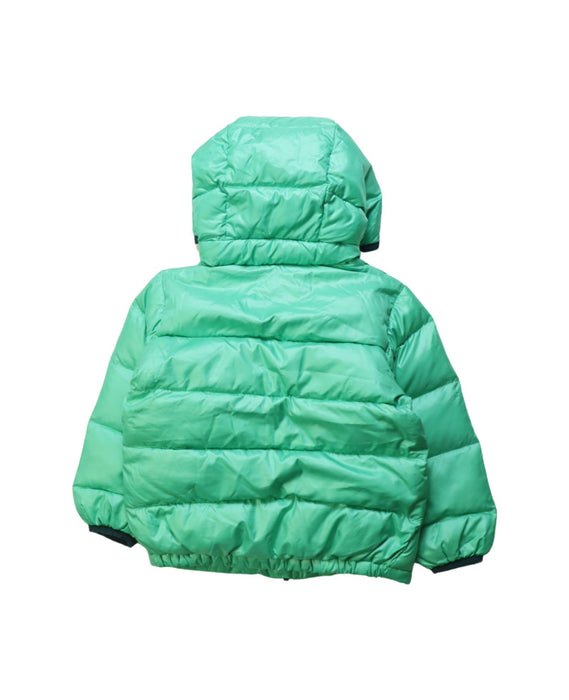 A Green Puffer/Quilted Jackets from Patagonia in size 6-12M for neutral. (Back View)