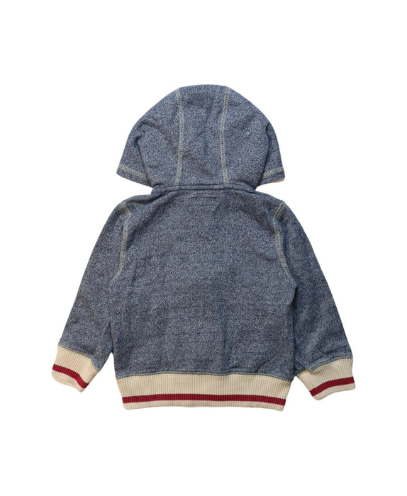 A Multicolour Lightweight Jackets from Roots in size 2T for neutral. (Back View)