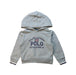 A Multicolour Hooded Sweatshirts from Polo Ralph Lauren in size 2T for neutral. (Front View)