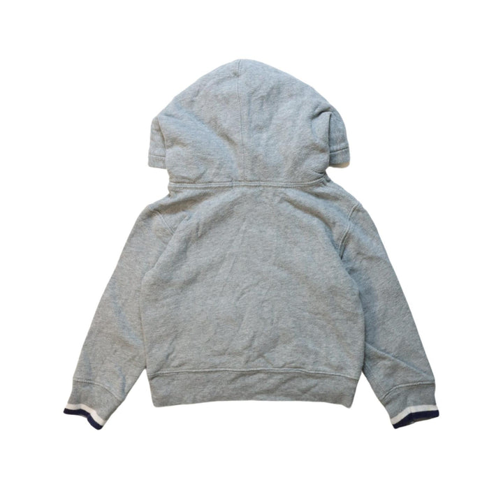 A Multicolour Hooded Sweatshirts from Polo Ralph Lauren in size 2T for neutral. (Back View)