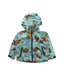 A Blue Lightweight Jackets from The North Face in size 12-18M for neutral. (Front View)