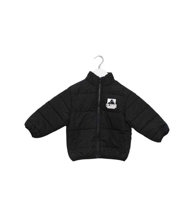 A Black Puffer/Quilted Jackets from XLARGE Kids in size 18-24M for boy. (Front View)
