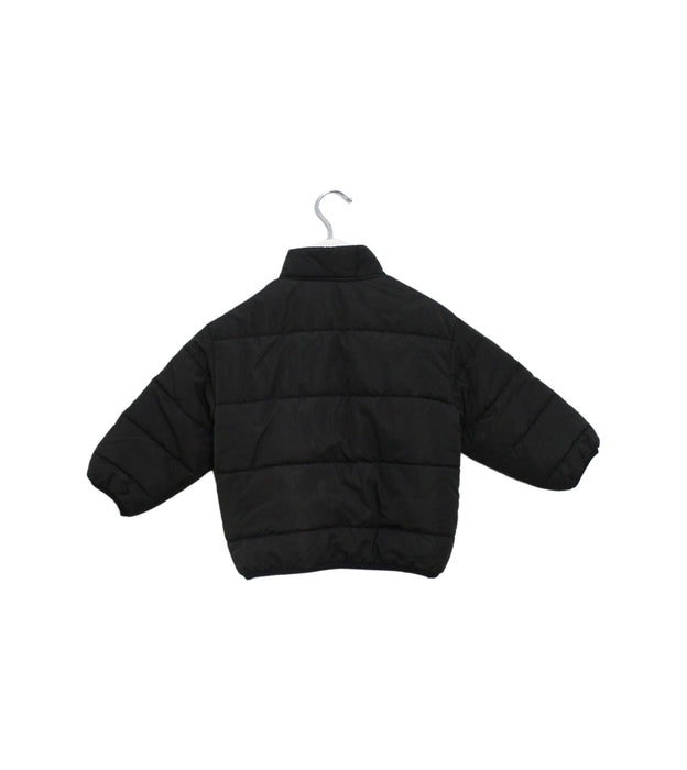 A Black Puffer/Quilted Jackets from XLARGE Kids in size 18-24M for boy. (Back View)
