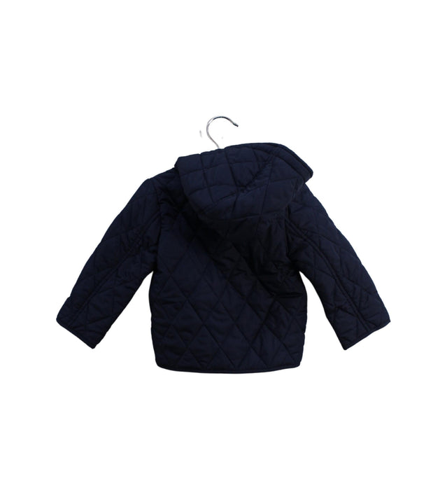 A Navy Puffer/Quilted Jackets from Burberry in size 3-6M for neutral. (Back View)